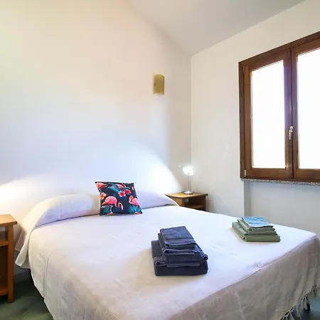 Cassiopea פוצו אידו